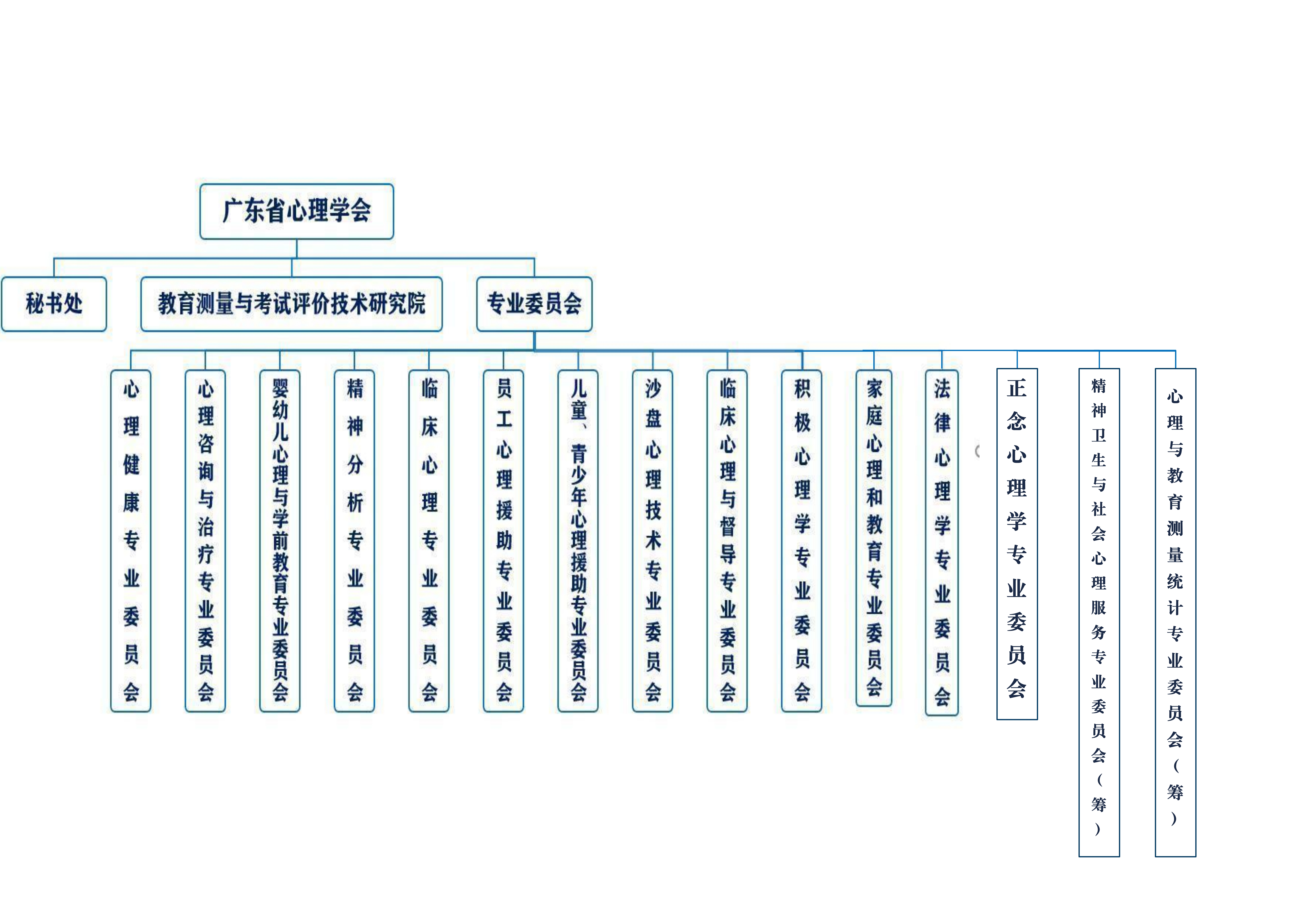 组织机构框架图（2025.5.17更新）.jpg